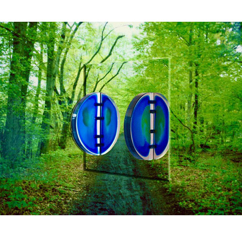 Blue Discs on Green